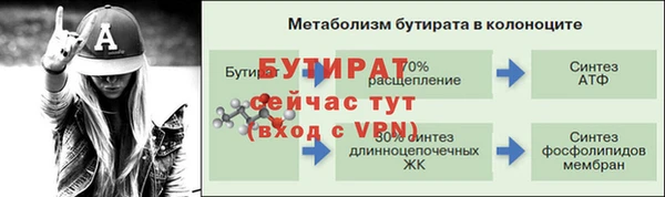 гидра Бронницы