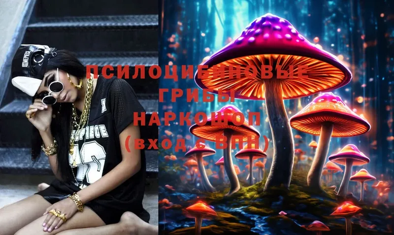 Галлюциногенные грибы Psilocybine cubensis  купить закладку  Горно-Алтайск 